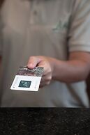 Like Design Hotel Rivera