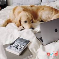 avid hotel Austin NW Lakeline by IHG