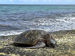 Waikiki Banyan-Free Parking-Free WI-FI