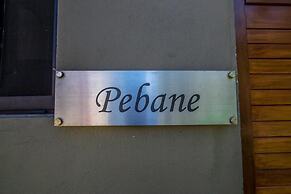 OSSANZAIA BILENE LODGE