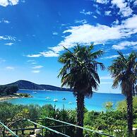 Delfin - sea View - A4 Zuti