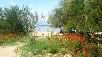 Dragi - With Pool - A3