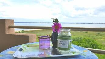 Dragi - With Pool - A3