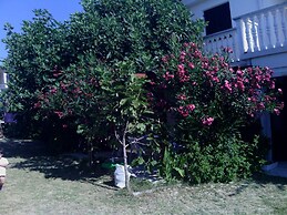 Vjeko - 200 m From sea - 2 - B1