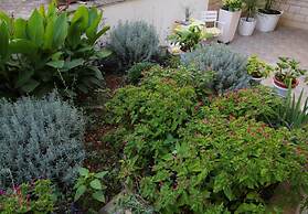 Angel - Nice Garden - SA