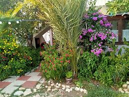 Vjeko - 200 m From sea - 1 - A1