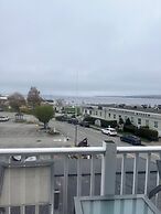 Trade Winds on the Bay