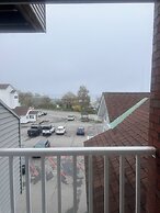 Trade Winds on the Bay