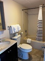 Trade Winds on the Bay