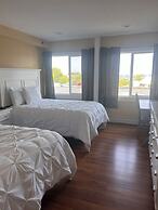 Trade Winds on the Bay