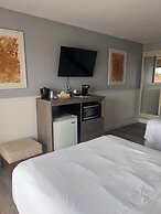 Trade Winds on the Bay