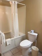 Trade Winds on the Bay