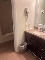 Trade Winds on the Bay