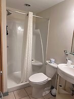 Trade Winds on the Bay