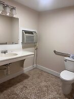 Trade Winds on the Bay