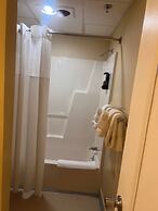 Trade Winds on the Bay