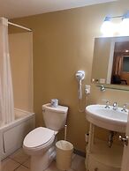 Trade Winds on the Bay