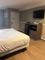 Trade Winds on the Bay