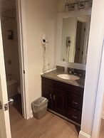 Trade Winds on the Bay