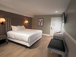 Trade Winds on the Bay