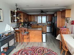 Trade Winds on the Bay