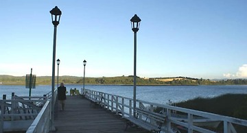 Cabañas Rústico Punucapa