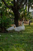 The Riverstone Agro Farm