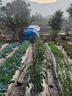 The Riverstone Agro Farm