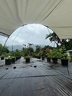 The Riverstone Agro Farm