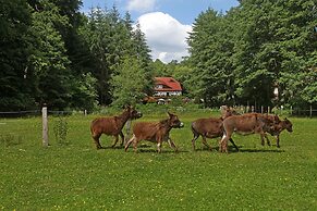 Hotel & Restaurant Boltenmühle