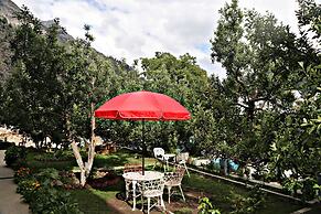 Hotel Prakash Regency Sangla