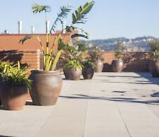 Hotel Terrassa Confort