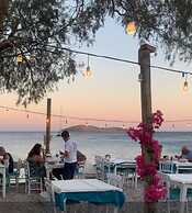 Avlu Butik Otel Palamutbükü