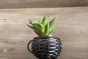 Studio Centro Poços - Tudo a Pe