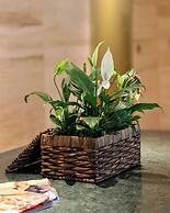 Voger Alaçatı Prive