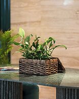 Voger Alaçatı Prive