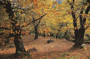 Volos Terra Deluxe Residences