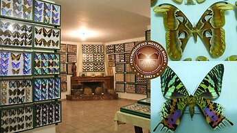 Volos Terra Deluxe Residences