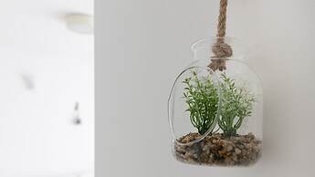 Residenza Excelsior 809