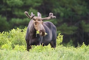 Ski Shores: The Chalet 3 Bedroom Cabin by RedAwning