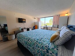 Happy Hawaiian Monarch Studio Condo by RedAwning