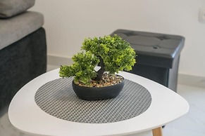 Marin - 200m to the sea - A1