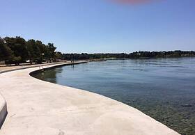 Ivan Z3 - Only for Family - A1