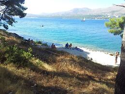 Bozo - 100m to the sea - A1