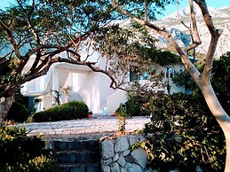 Viki - Seaview & Garden Terrace - A1