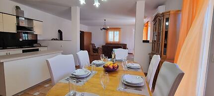 Ron - Spacious Garden - H