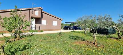 Ron - Spacious Garden - H