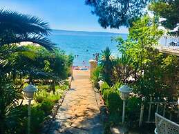 Helena - Beachfront - H