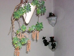 Ivy - With Balcony - A1