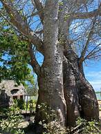 Unguja Ukuu Kaepwani